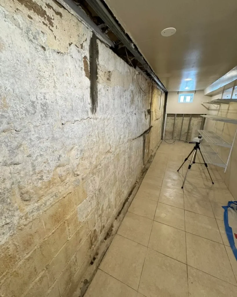 Mold Testing & Mold Assessments 1