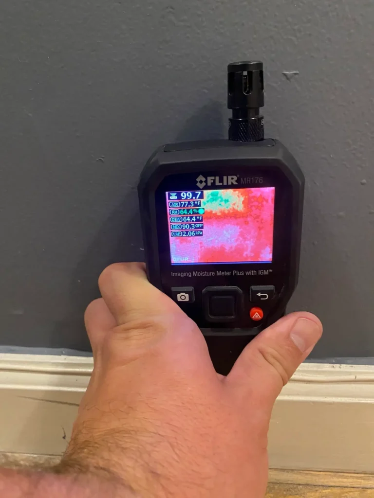 Mold Testing & Mold Assessments 2