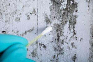 Mold air sampling and surface sampling during a professional inspection